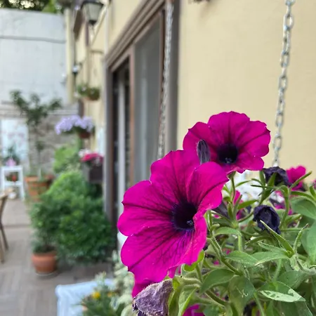 Apartment Araz